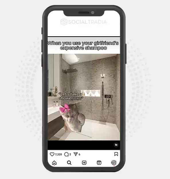 buy Instagram account Pet Catch (49.4 k Followers)
