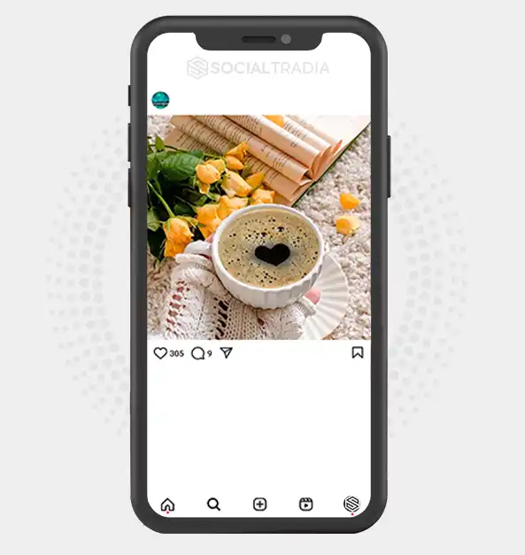 buy Instagram account Plant Lovers (3.1 k Followers)