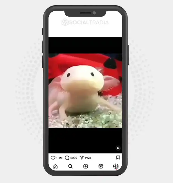 buy Instagram account Axolotl Sea (20.2 k Followers)