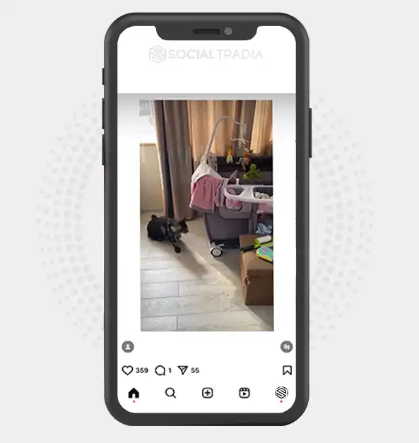 buy Instagram account CatNever (47.8 k Followers)