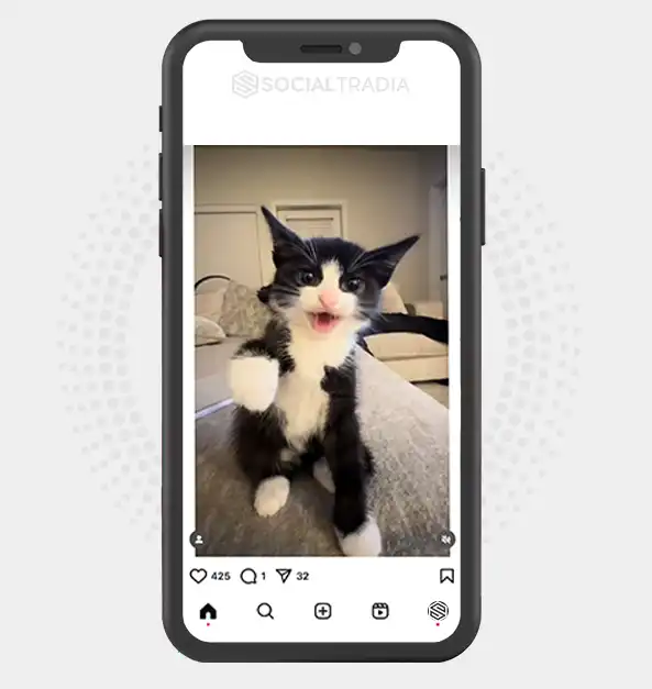 buy Instagram account CatNever (47.8 k Followers) buy Instagram account CatNever (47.8 k Followers)