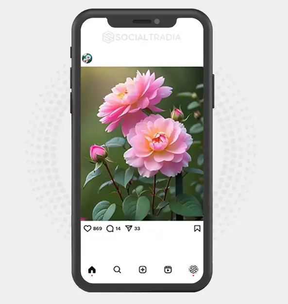 buy Instagram account ColorfulEarth (4 k Followers)