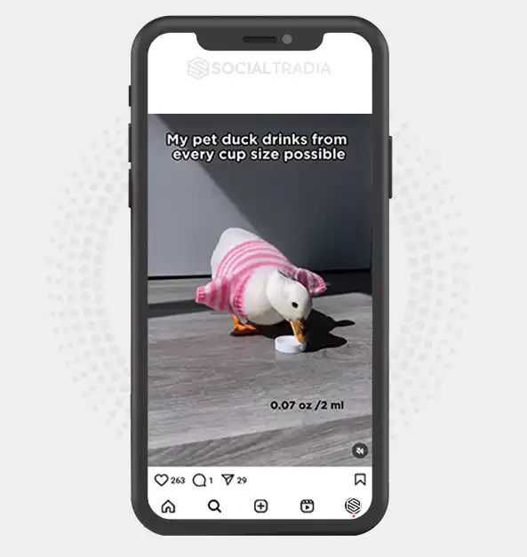 buy Instagram account Duck Mag (2.1 k Followers)