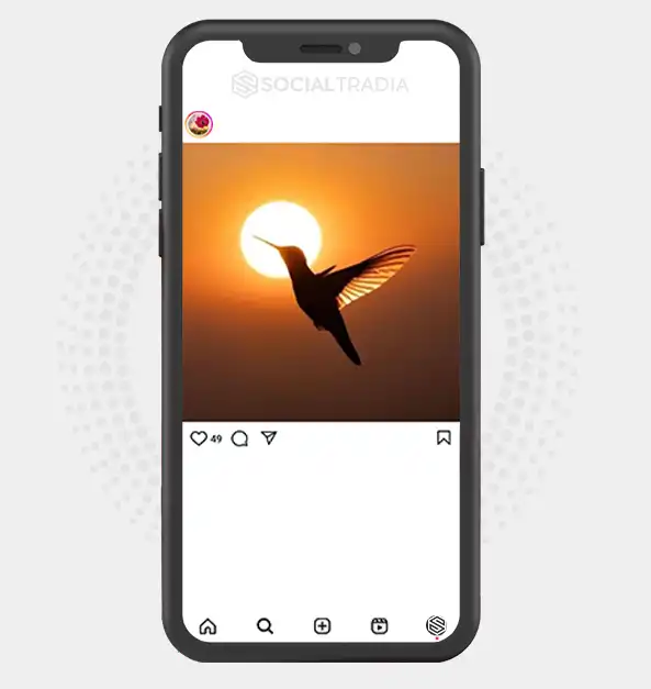 buy Instagram account Nature Shining (4 k Followers)