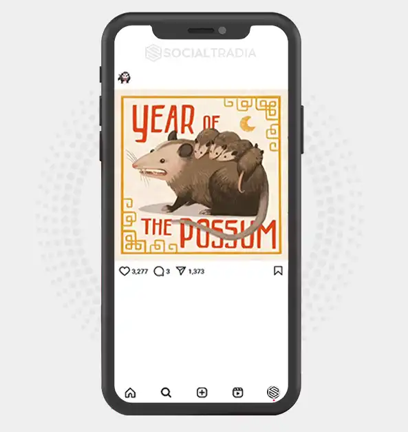 buy Instagram account OpossumFamily (2.6 k Followers)