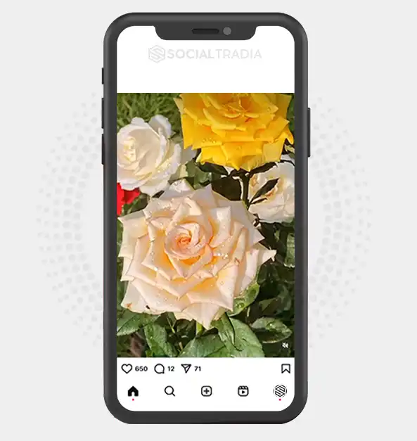 buy Instagram account perfect_floristt (2.1 k Followers)