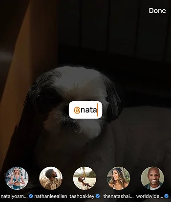 search for username