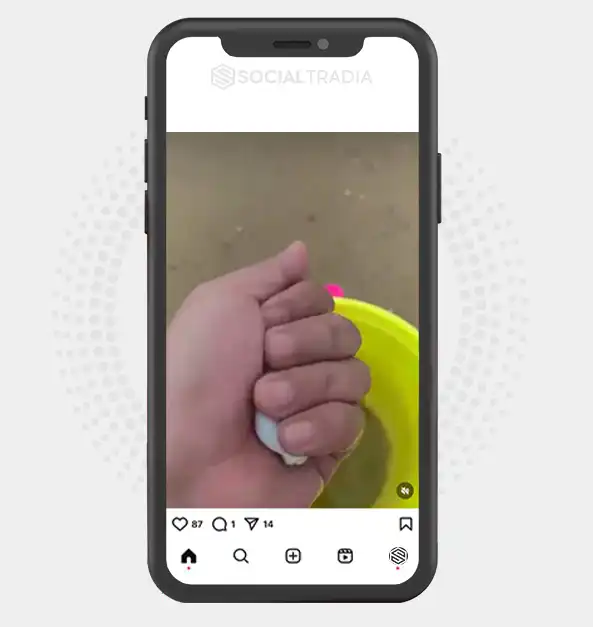 buy Instagram account Aqua Fish (3.1 k Followers)