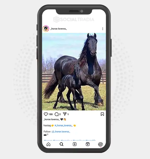 buy Instagram account _horse.loverss_ (7.3 k Followers)