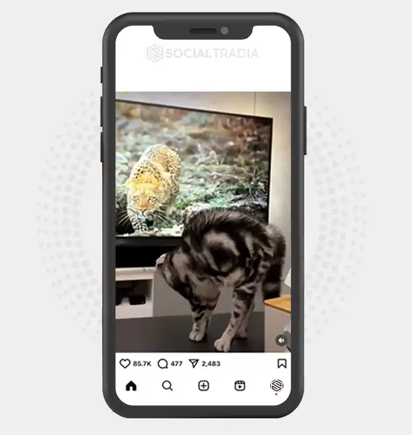 buy instagram account