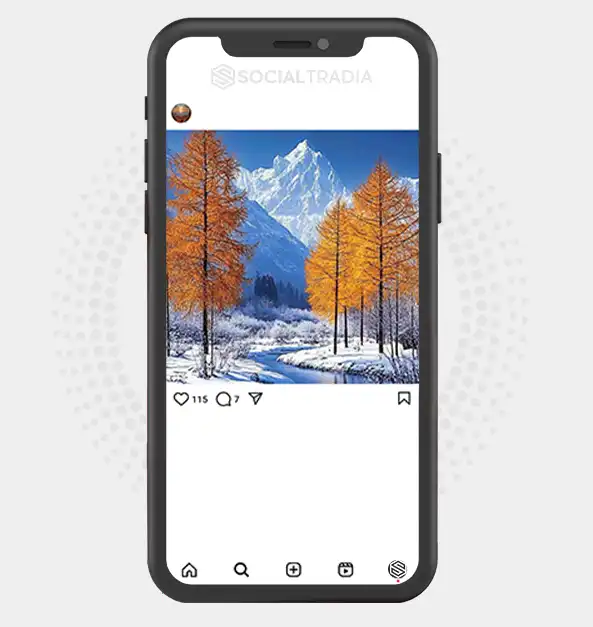 buy Instagram account Natural Ceremony (2.2 k Followers)