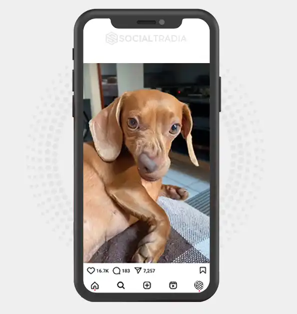 buy instagram account