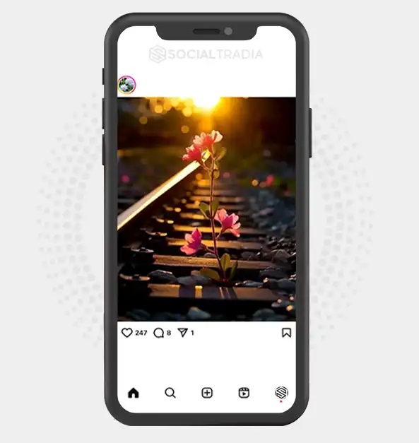 buy Instagram account PetalColor (2.1 k Followers)