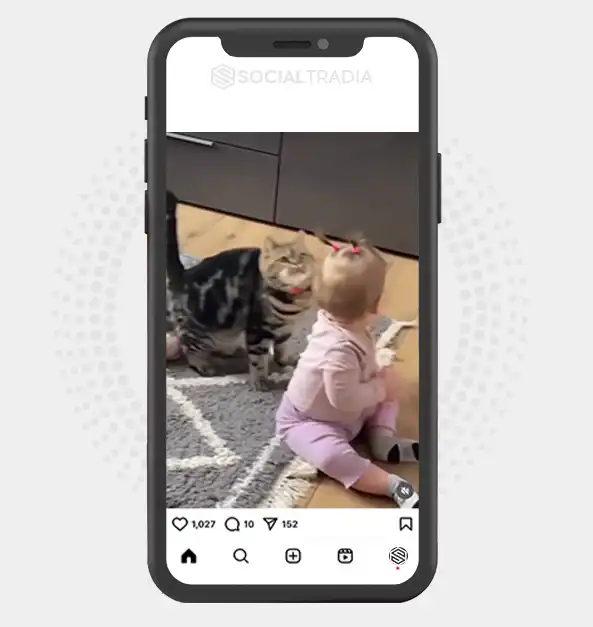 buy Instagram account Purrsonal Page (44.2 k Followers)