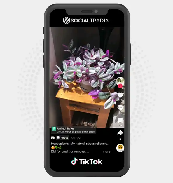 buy Instagram account ebplant (2.1 k Followers)