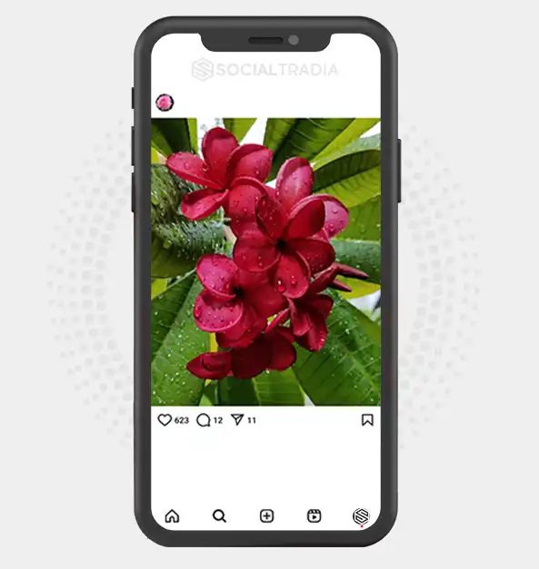 buy Instagram account FloralDream (2 k Followers)