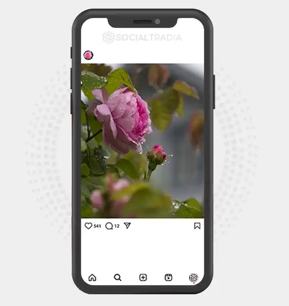buy Instagram account FloralDream (2 k Followers)