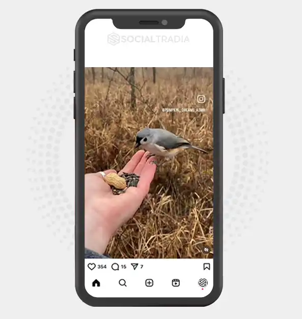buy Instagram account NatureGold (3.4 k Followers)
