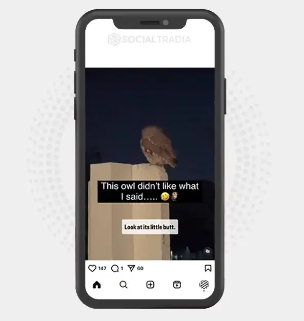 buy Instagram account Owl Garden (3.4 k Followers)