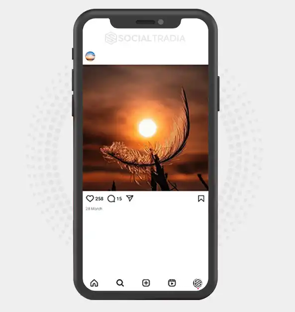 buy Instagram account Trip Spark (3.1 k Followers)