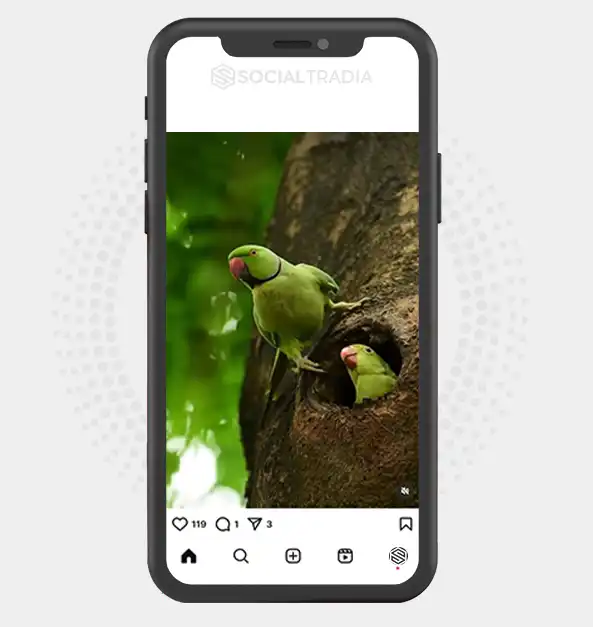 buy Instagram account TripMood (2 k Followers)