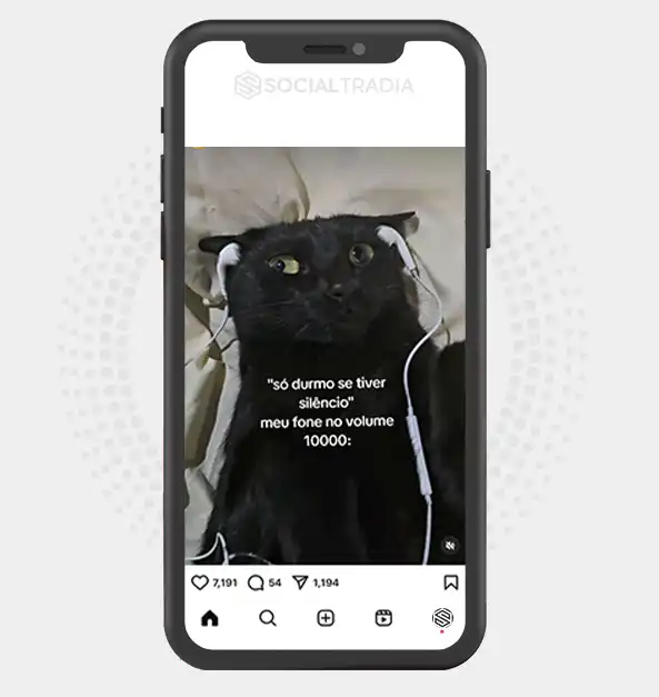 buy Instagram account Black Pet (295 k Followers) buy Instagram account Black Pet (295 k Followers)