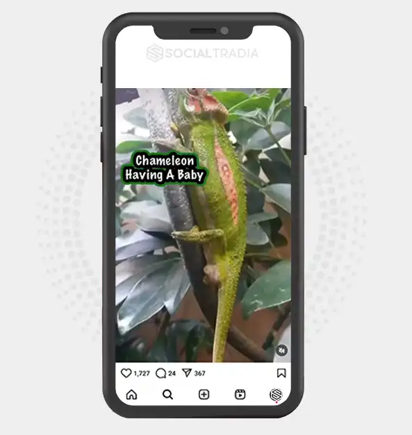 buy instagram account