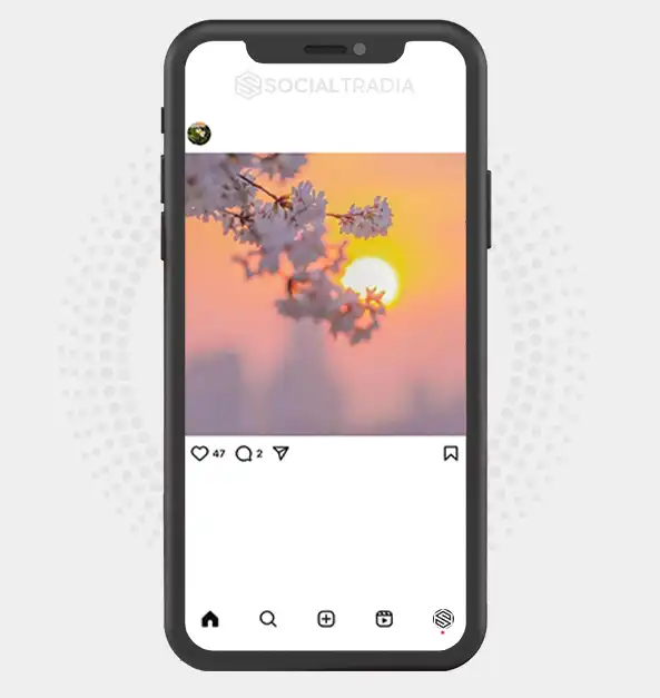 buy Instagram account Floral Hub (3 k Followers)