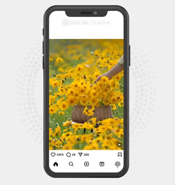 buy Instagram account Floral Scene (3 k Followers)