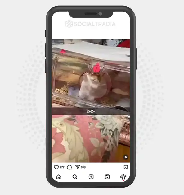 buy Instagram account Hamster Story (25.9 k Followers)