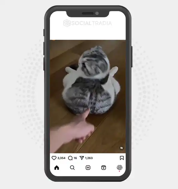 buy Instagram account KittenMode (60.7 k Followers)