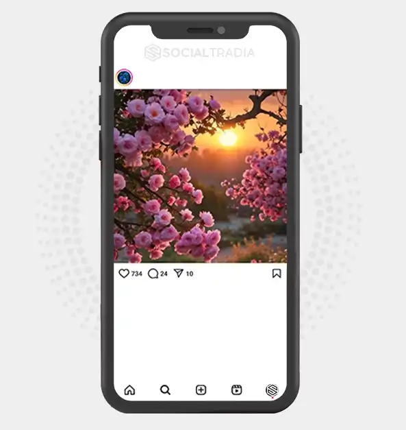 buy Instagram account Nature Green (2 k Followers)