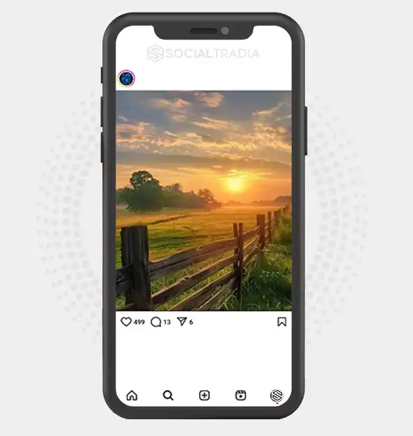 buy Instagram account Nature Green (2 k Followers) buy Instagram account Nature Green (2 k Followers)