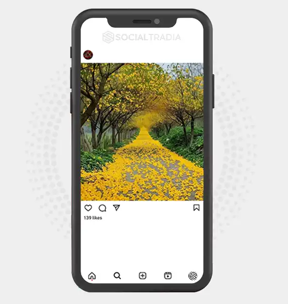buy Instagram account NatureMother (2 k Followers)