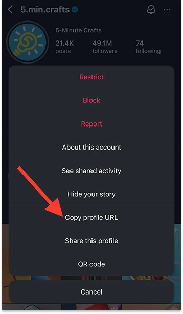 select copy profile URL