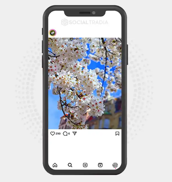 buy Instagram account Adventure Seeker (2 k Followers)