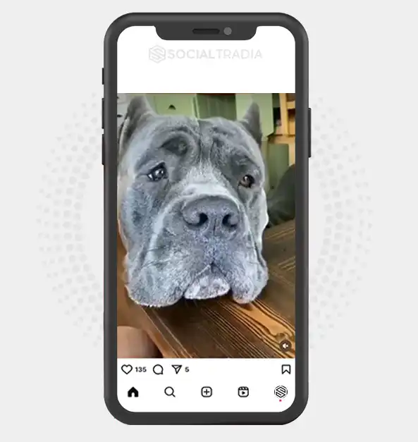 buy instagram account