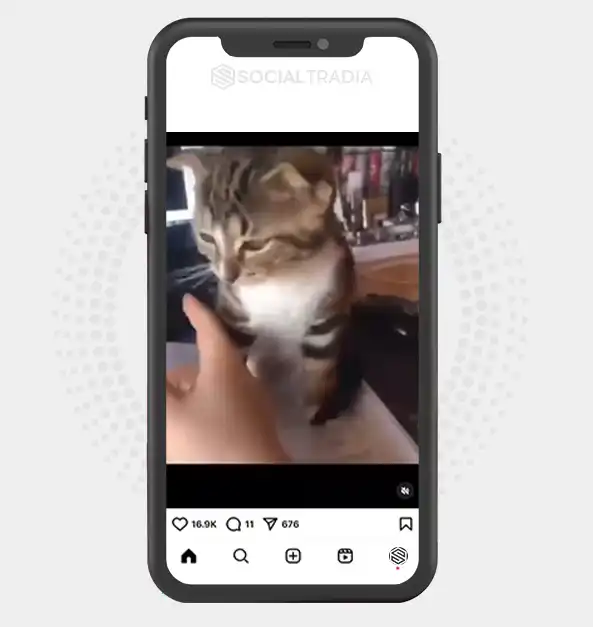 buy Instagram account catkittyy1 (2.9 k Followers)