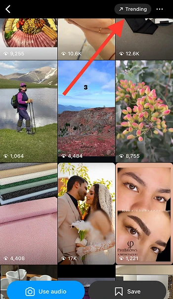 check the trending section
