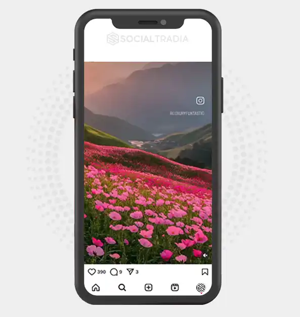 buy Instagram account Floral Album (2 k Followers)
