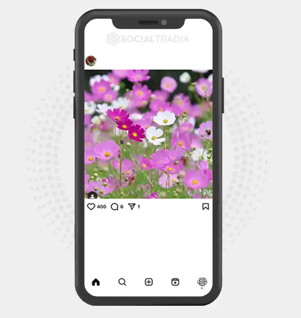 buy Instagram account Floral Zone (2 k Followers)