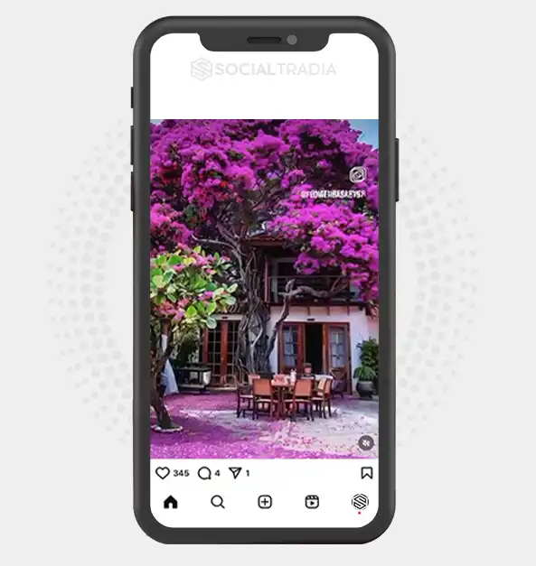 buy Instagram account Floral Zone (2 k Followers)