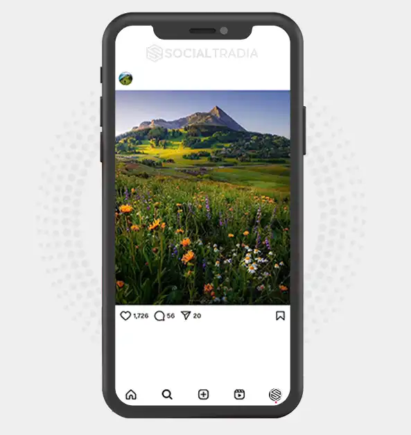 buy Instagram account Green Paradise (3.3 k Followers)
