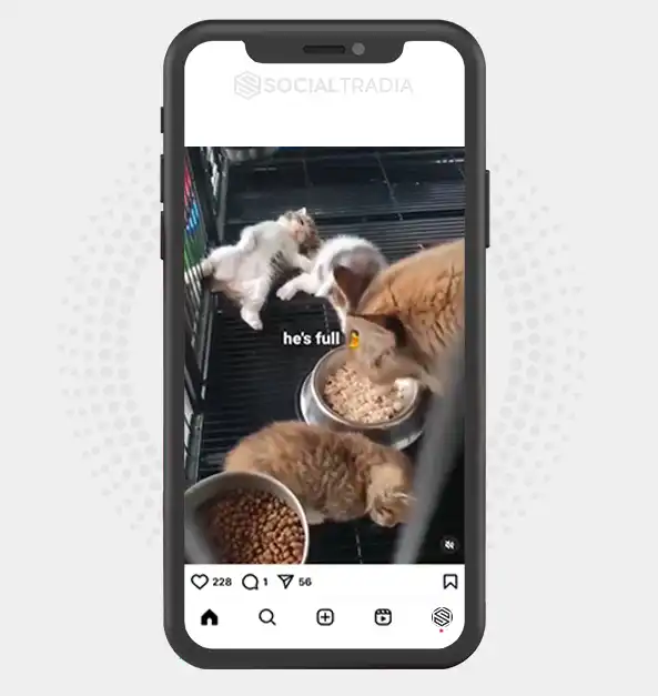 buy Instagram account kittyssworld_ (3.4 k Followers)