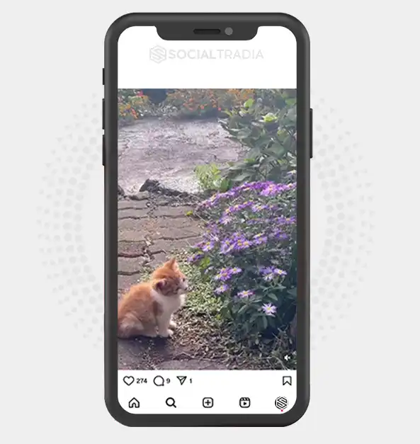 buy instagram account