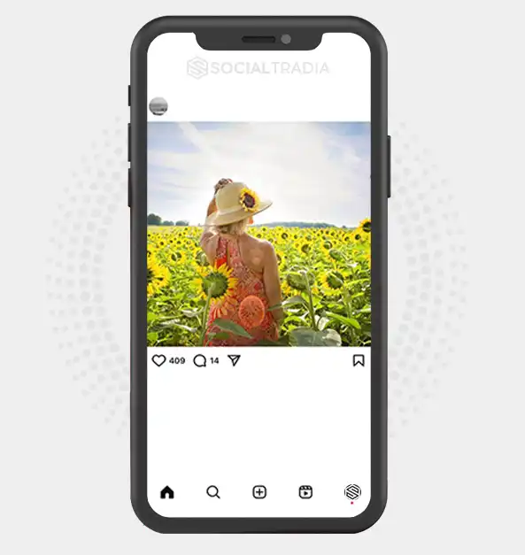 buy Instagram account Natural Pulse (2.4 k Followers)