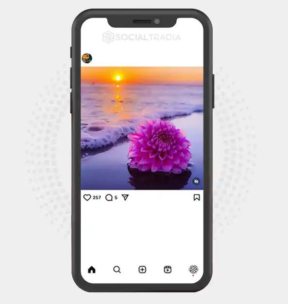 buy Instagram account Nature Painting (2.3 k Followers)