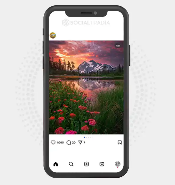 buy Instagram account Nature Visible (3.8 k Followers)