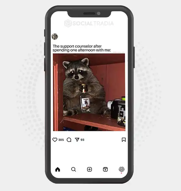 buy Instagram account RaccoonPark (49.5 k Followers)