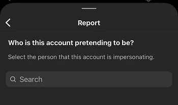 Instagram may ask for more details